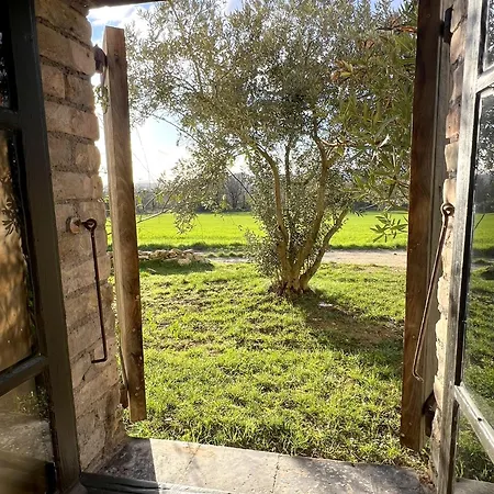 Guest house Mas Grange Neuve 3*